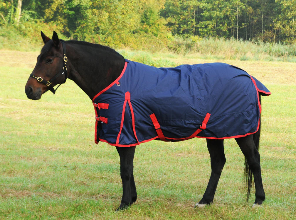 Equestrian Essentials: Finding the Perfect Fit for Horse and Rider in Ireland