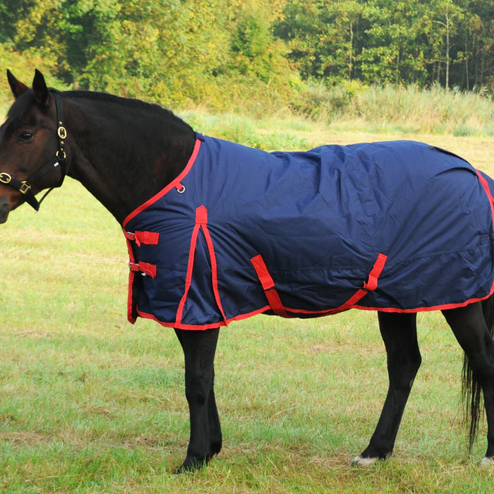 Equestrian Essentials: Finding the Perfect Fit for Horse and Rider in Ireland