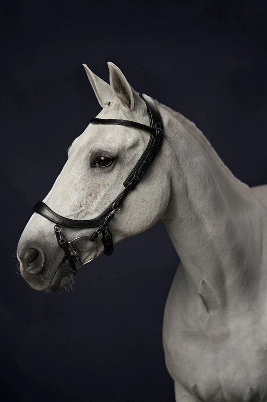 QHP Bridle Faysport