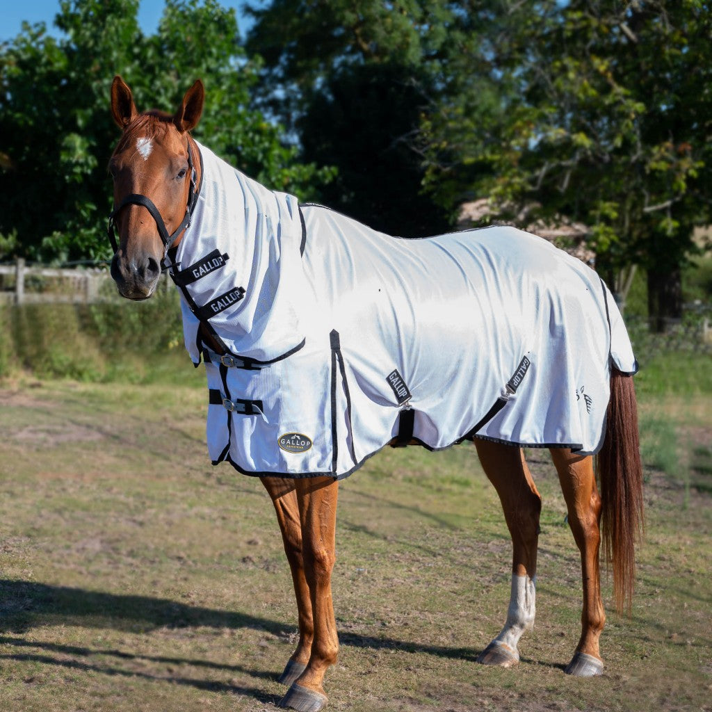 Gallop Full Neck Fly Rug