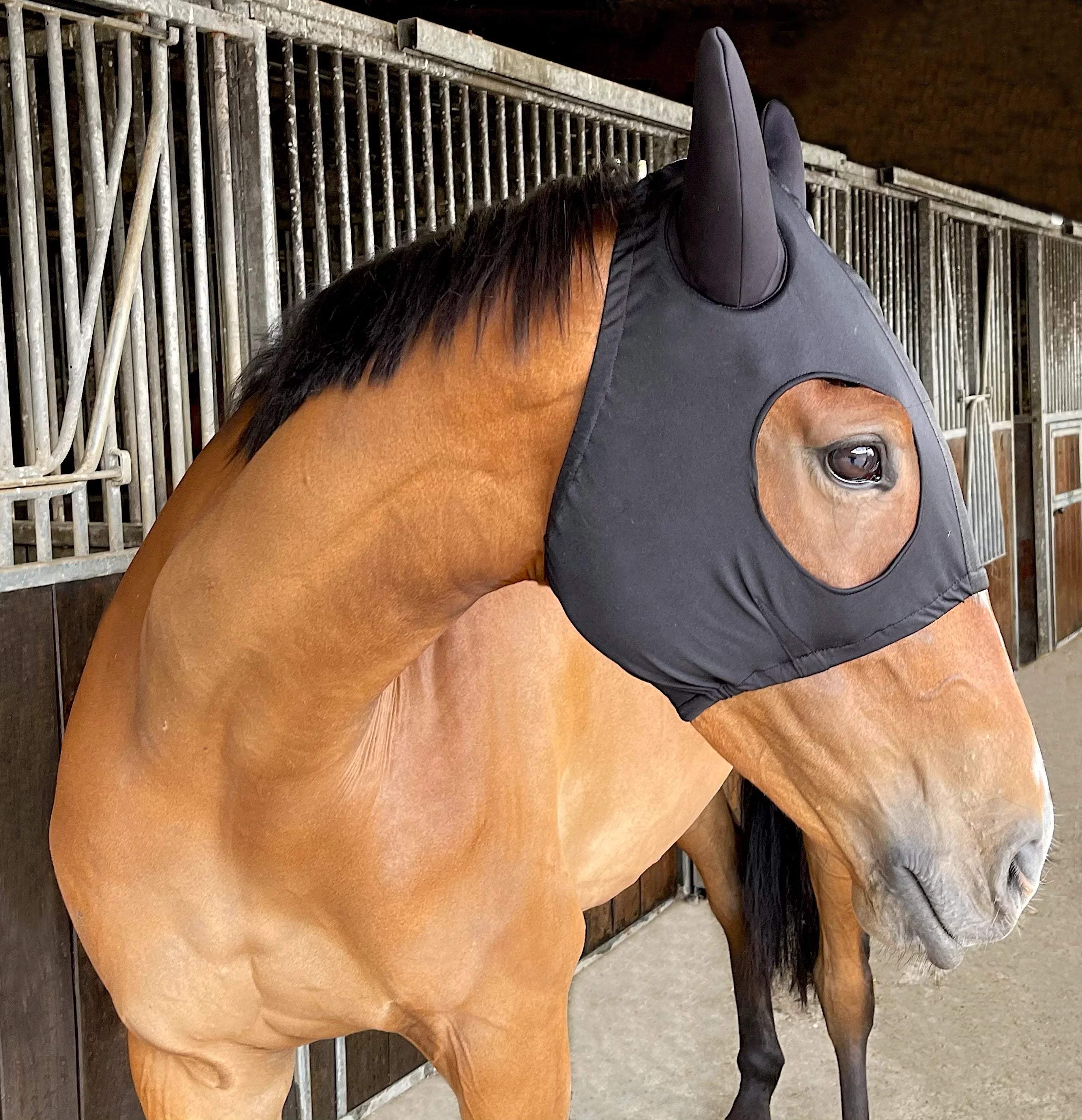 BreezeUp Racing Hood w/Pad ears Black