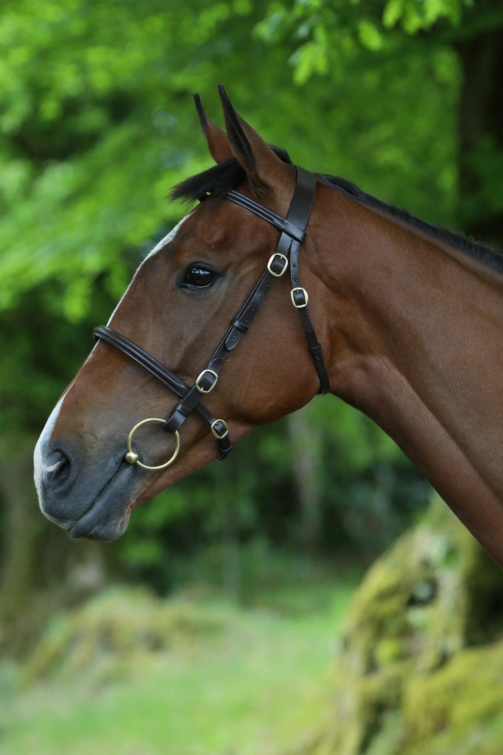 Brz/Up Inhand Bridle Plain Black