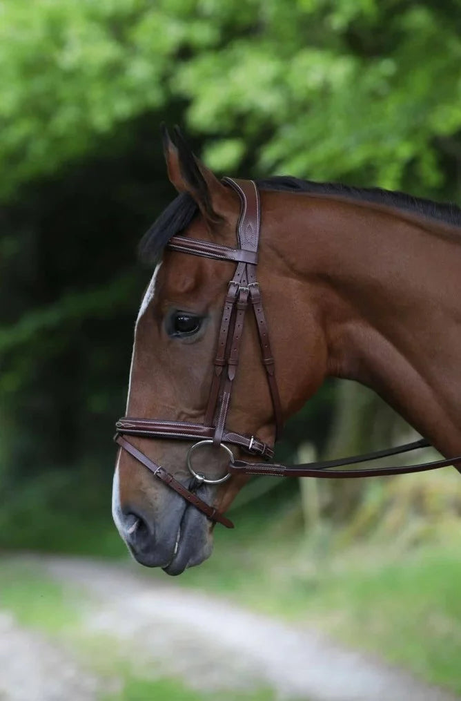 Puissance Hickstead Bridle & Reins