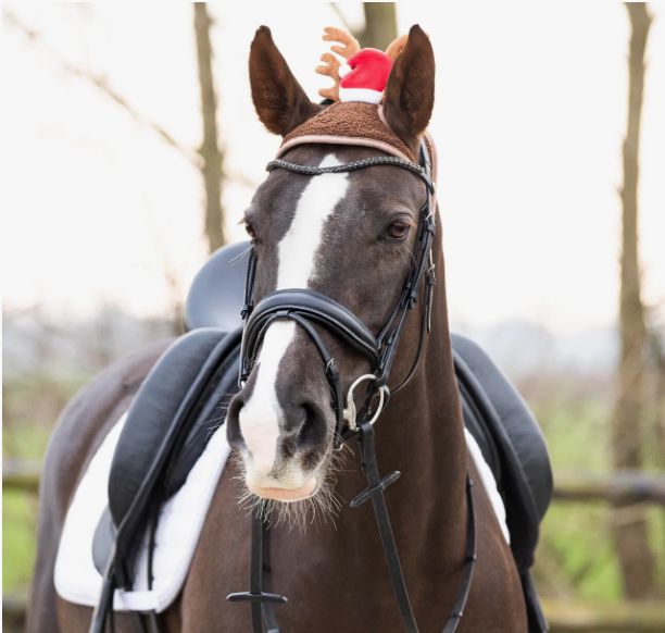 QHP Christmas Antler Horse Hat Red Pony