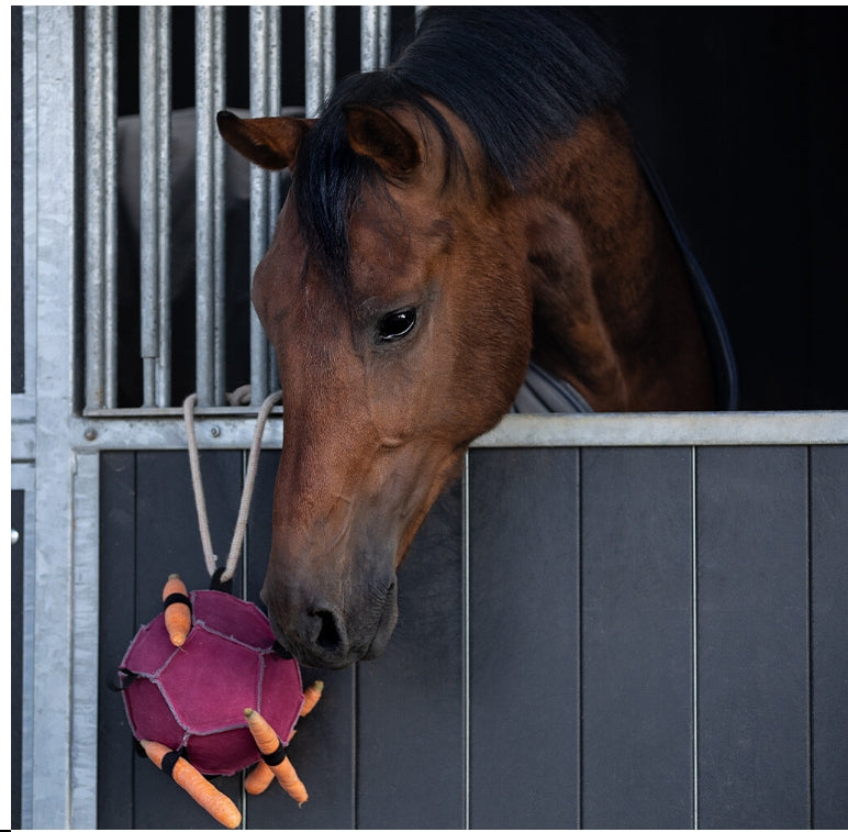 QHP Horse Toy Ball