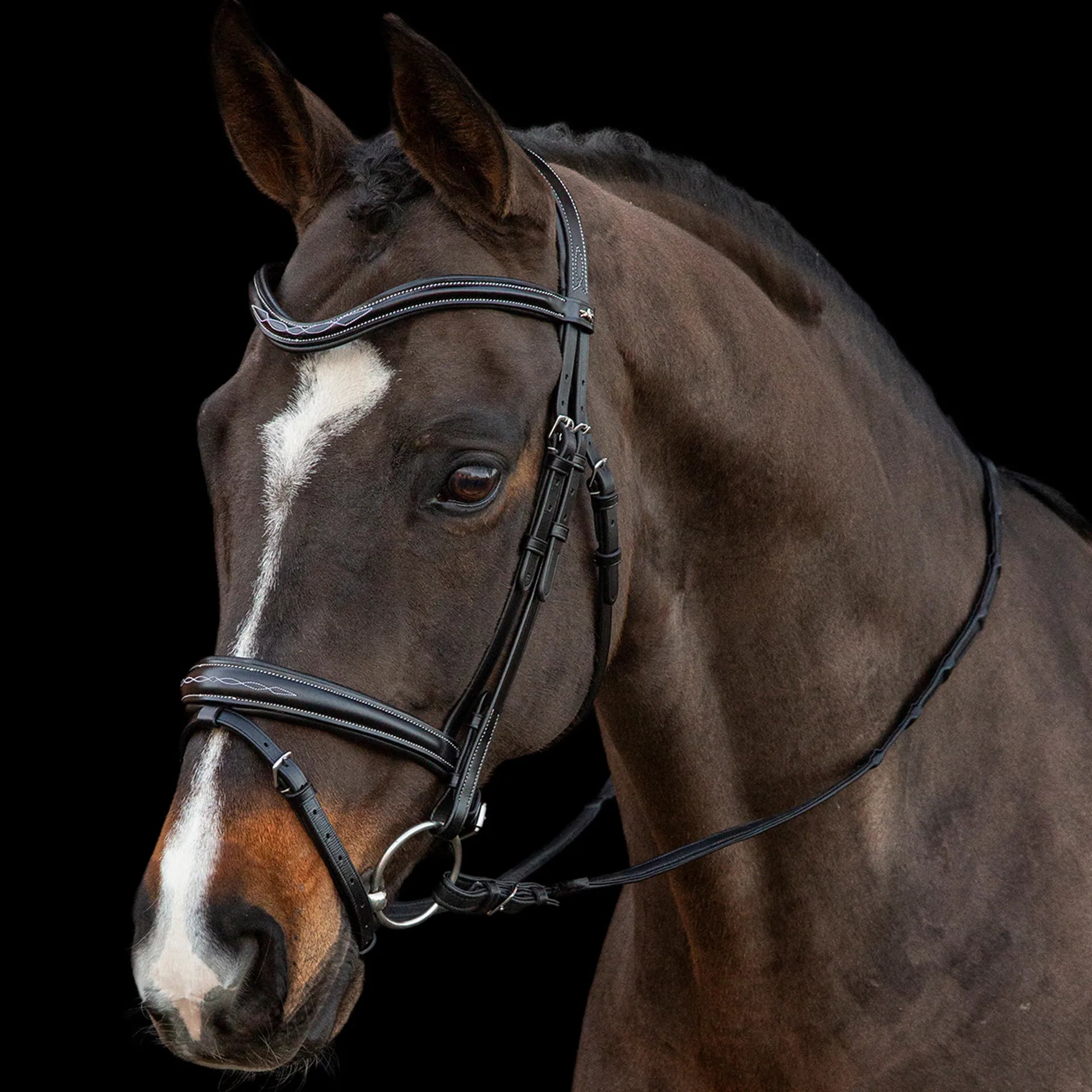 Schockemohle Monza F Bridle