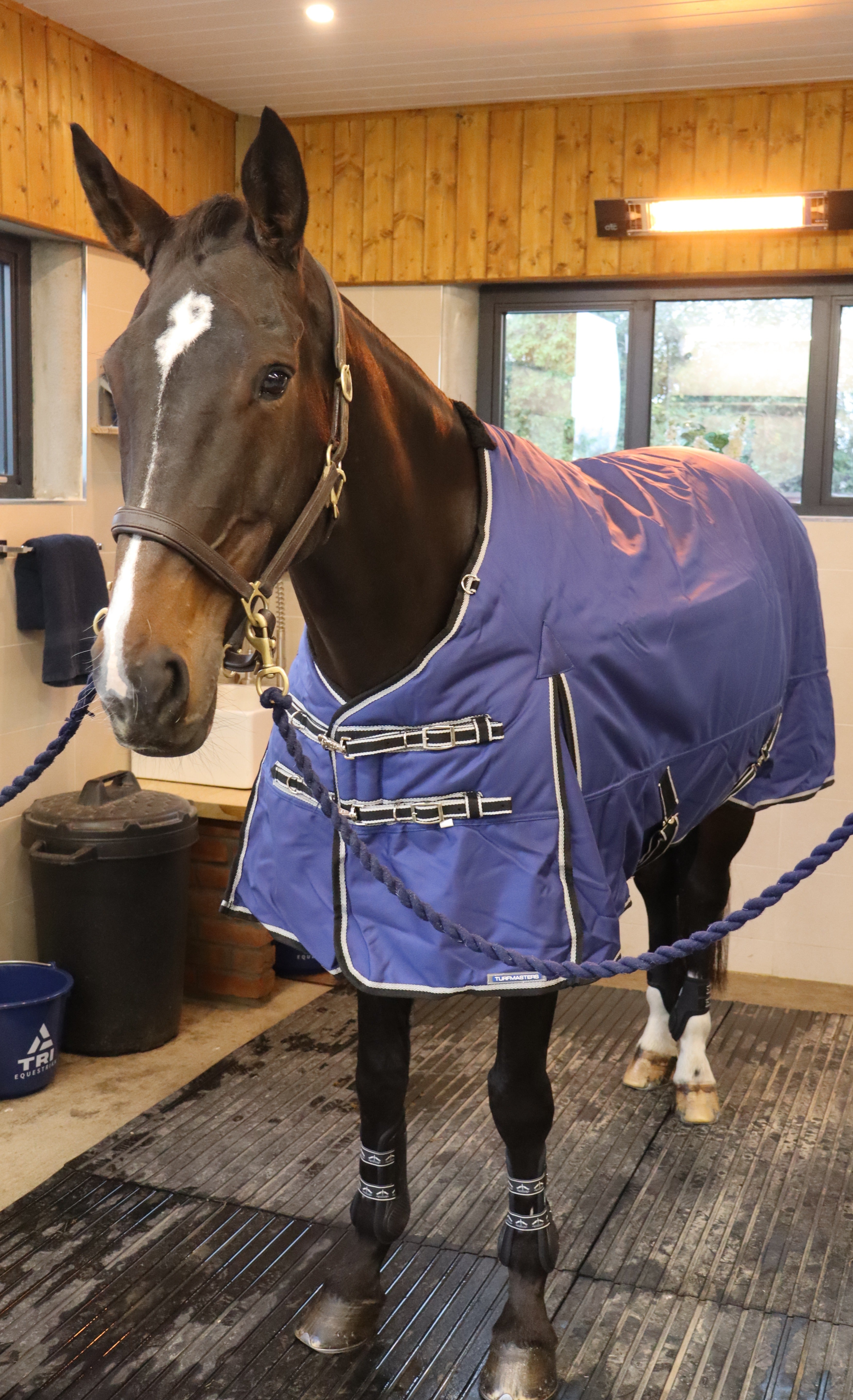 Turfmasters Ophelia Waterproof Standard Neck Turnout Rug