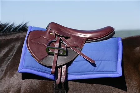 Race Exercise Saddle