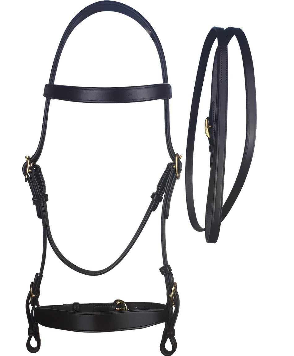 Cameo Equine Inhand Bridle Black